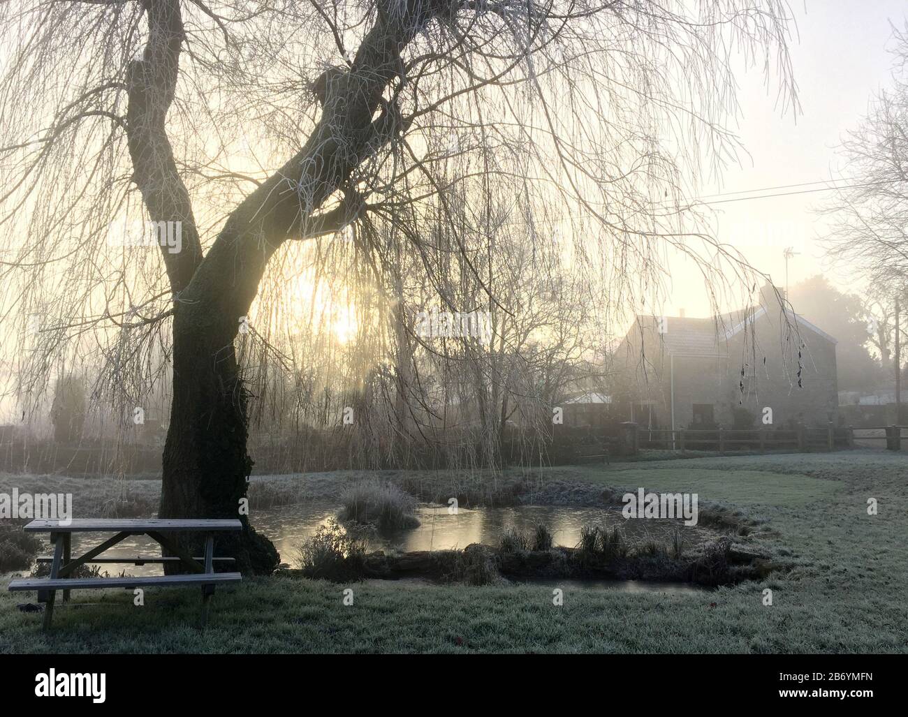 Early morning light and hoar frost, English village green and pond Stock Photo