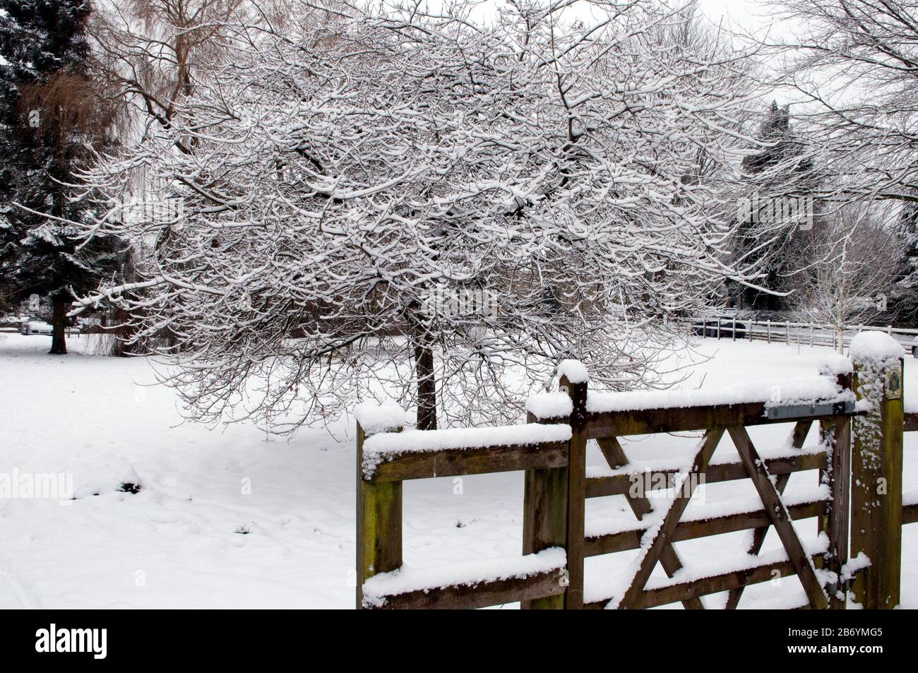 English village green in snow Stock Photo