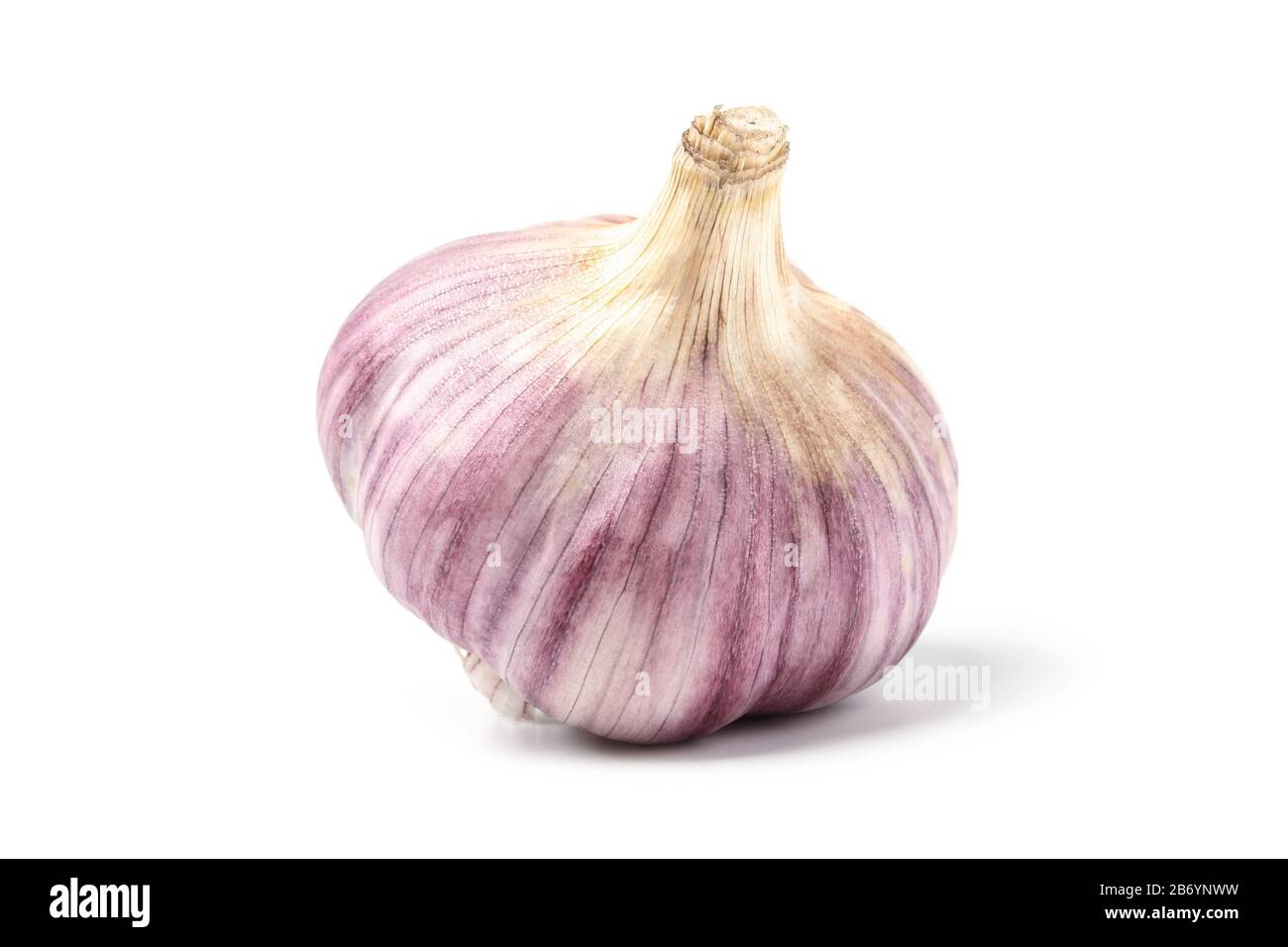 Garlic bulb isolated on white background Stock Photo