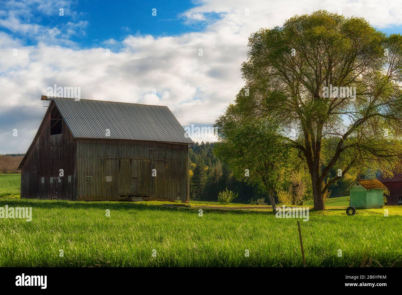 Country side scene of a barn with lush green surroundings and a white oak tree with a tire swing under cloudy skies in rural Oregon Stock Photo