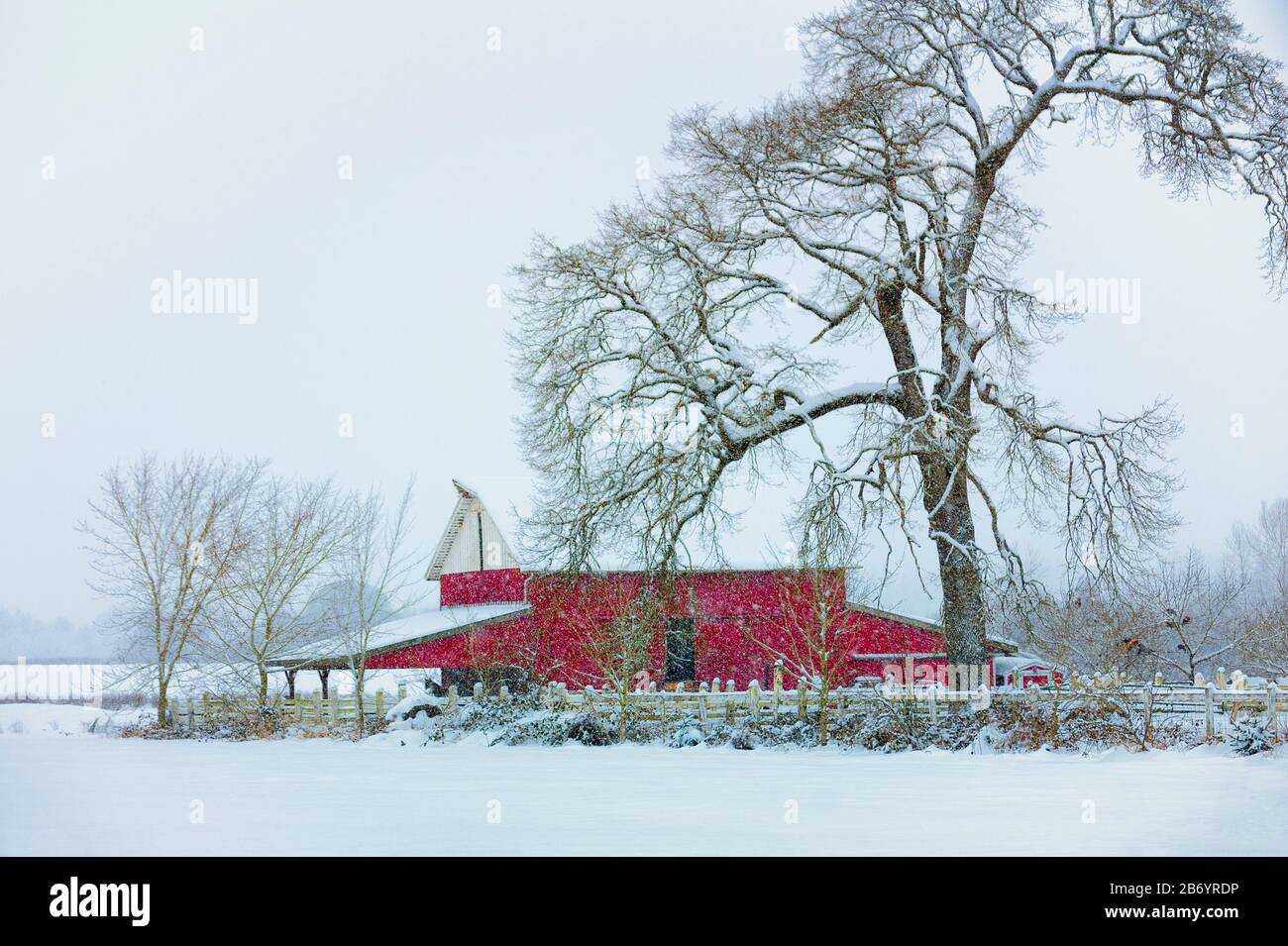 Agricultural setting with red barn and winter landscape Stock Photo - Alamy