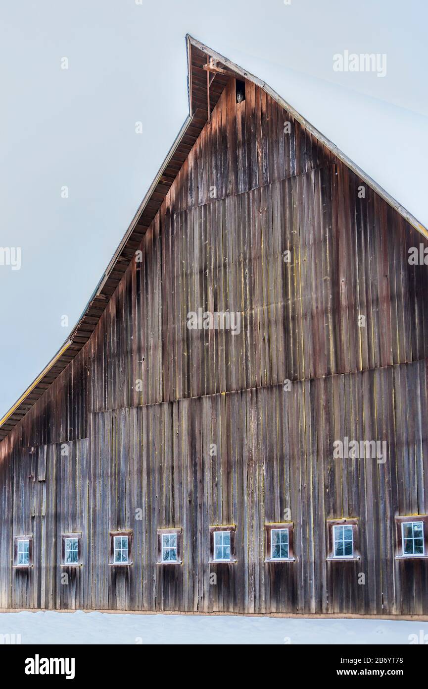 An unique barn with many windows surrounded by snow.  A barn owl perches in the hayloft door. Stock Photo