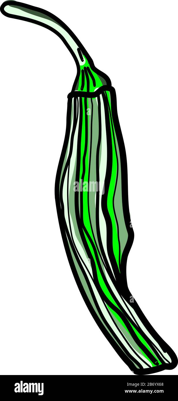 Green dry pepper, illustration, vector on white background Stock Vector ...
