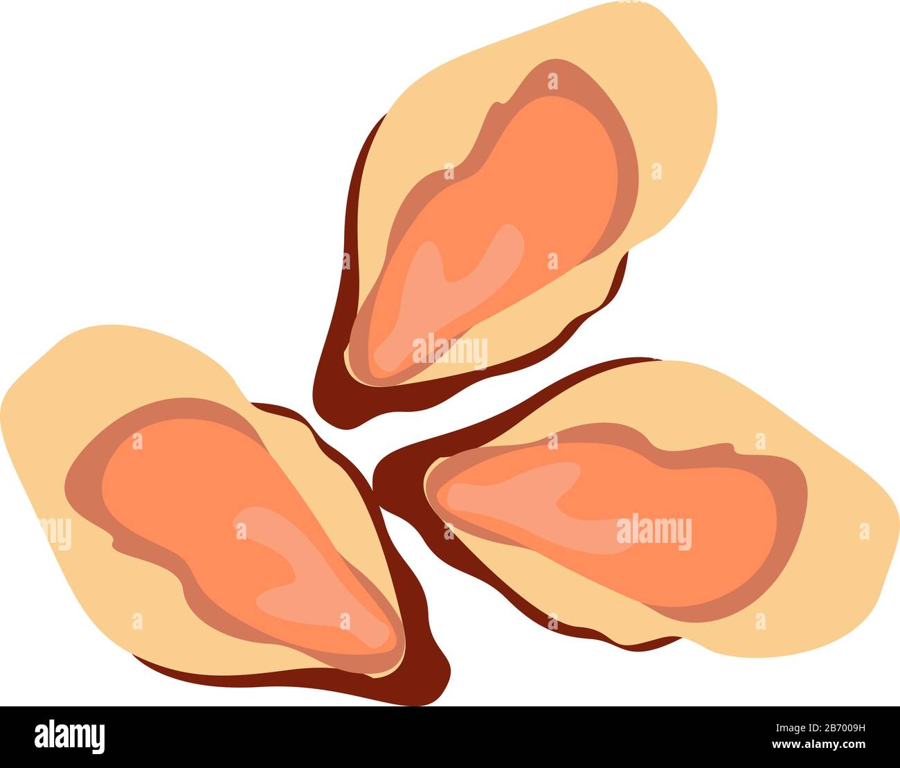 Sea oysters, illustration, vector on white background. Stock Vector