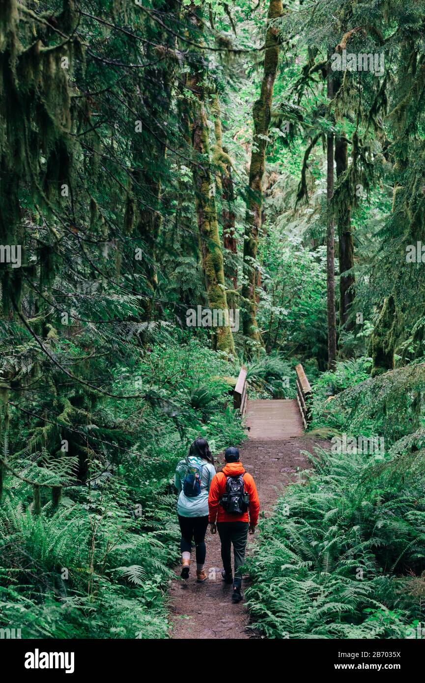 A young couple enjoys a hike in a forest in the Pacific Northwest. Stock Photo