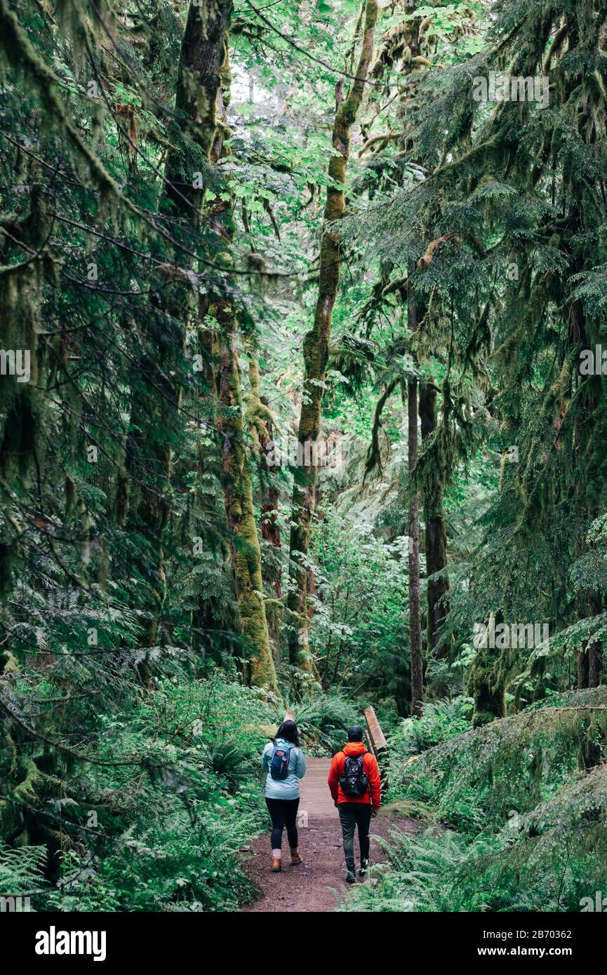 A young couple enjoys a hike in a forest in the Pacific Northwest. Stock Photo