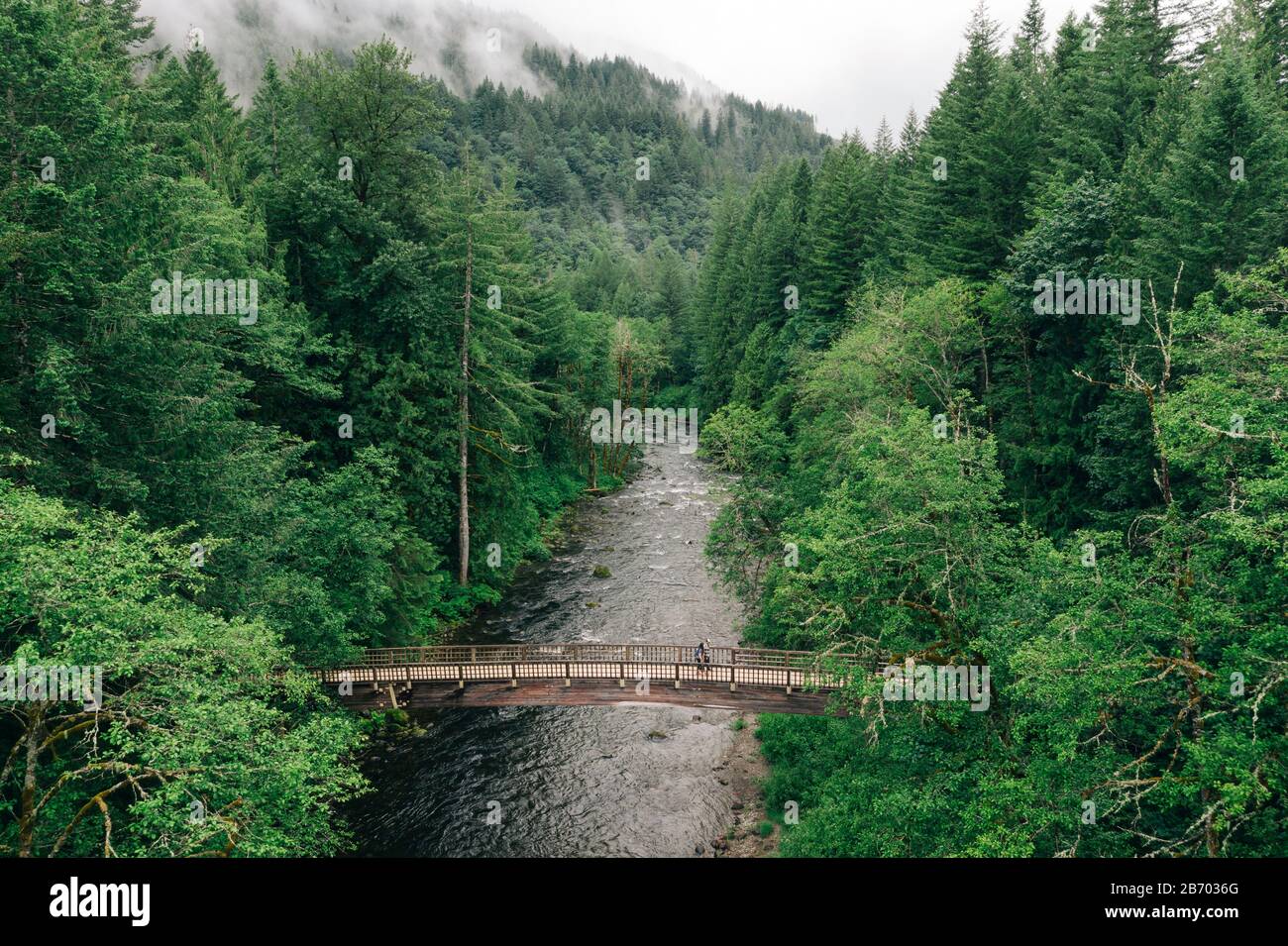 A young couple enjoys a hike on a bridge in the Pacific Northwest. Stock Photo