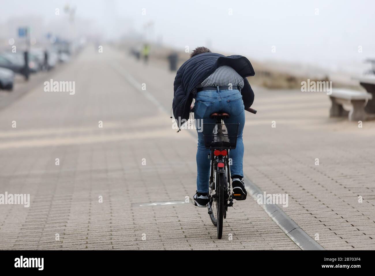 backside view of a cyclist riding on a path over the dunes near ...