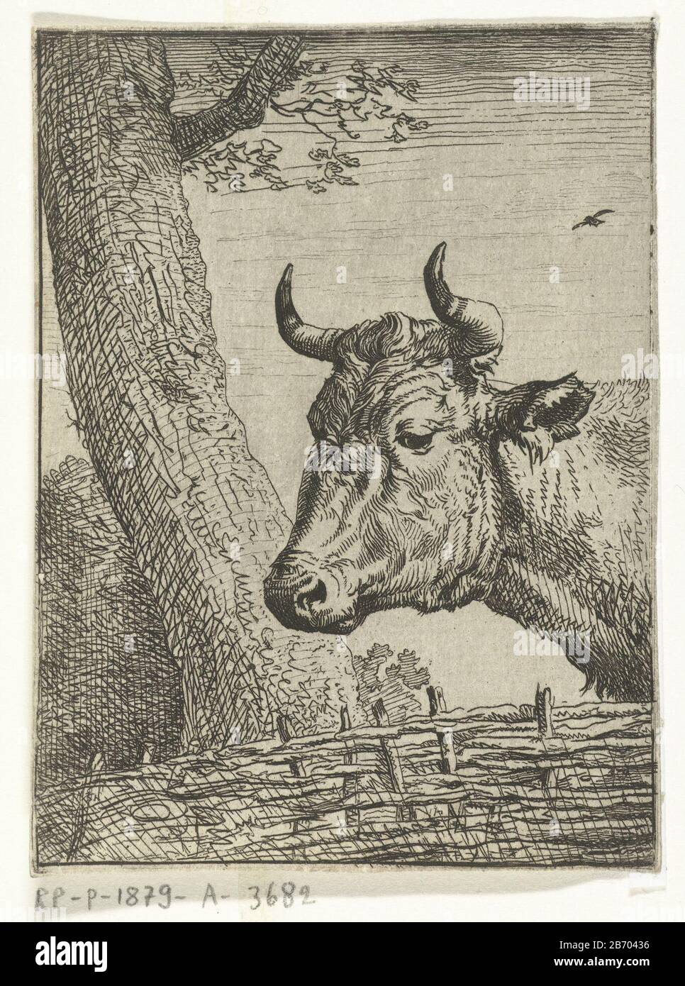 Potter paper hires stock photography and images Alamy