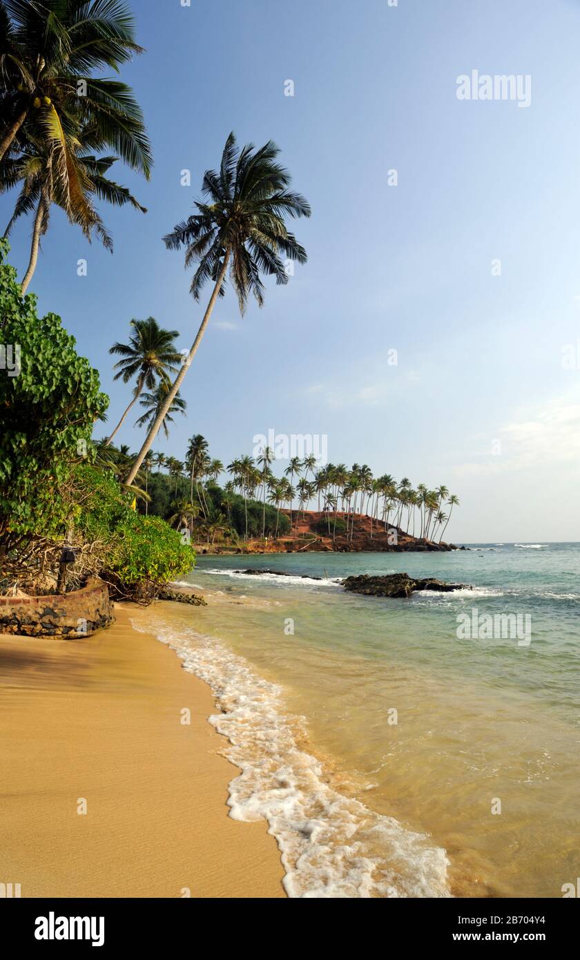 Sri Lanka, Mirissa beach Stock Photo