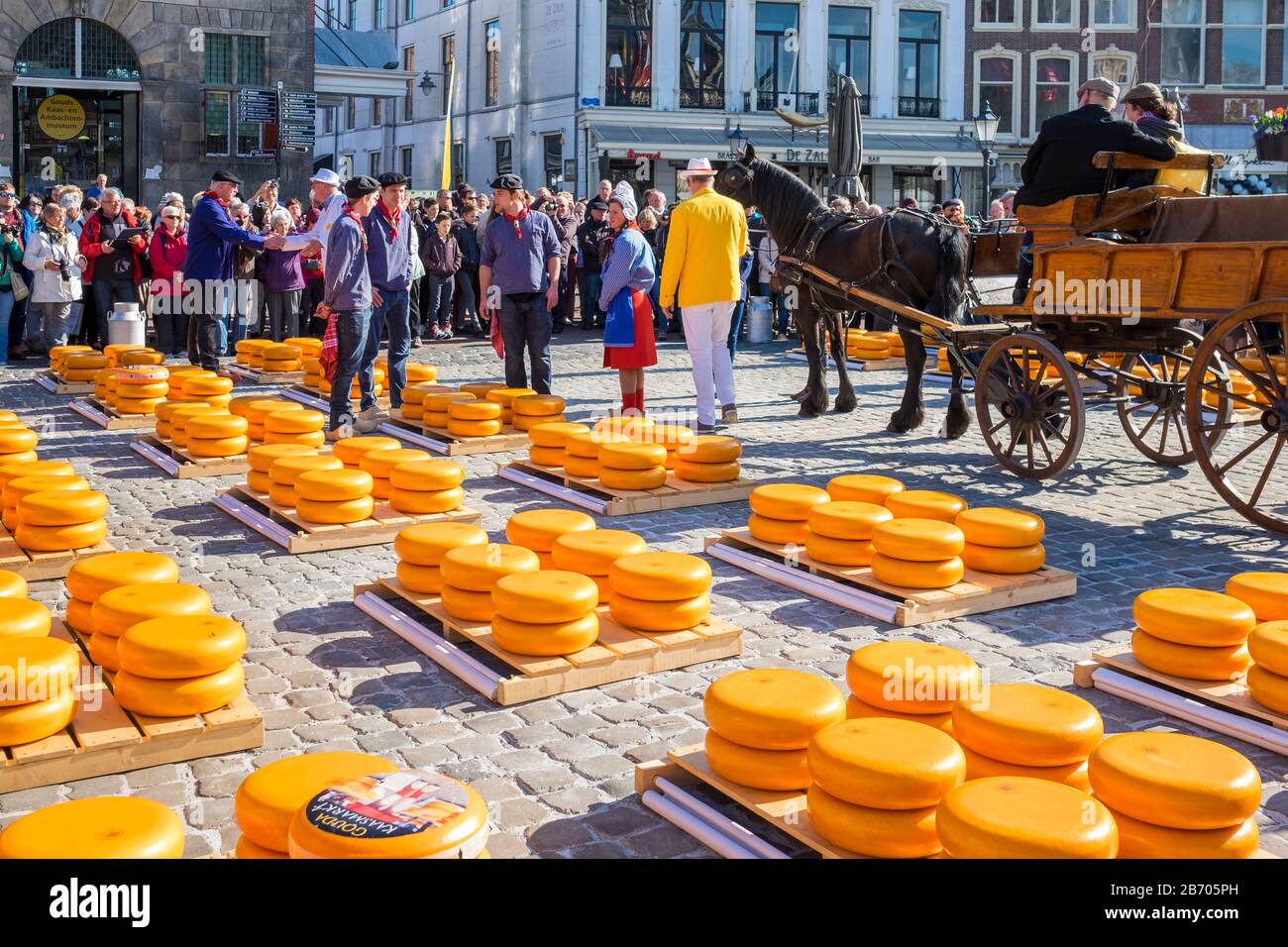Netherlands, South Holland, Gouda. Cheese market on Markt square in
