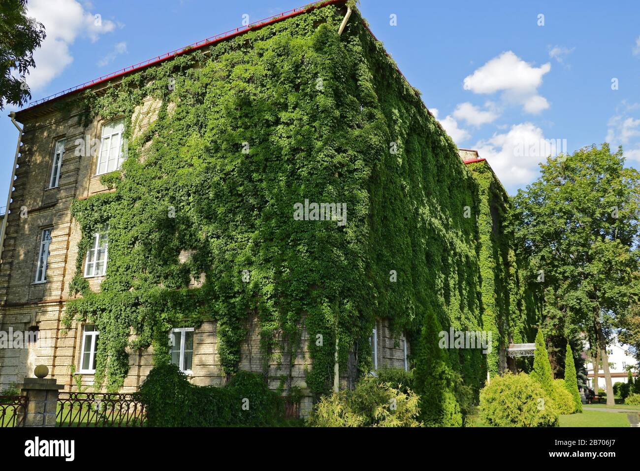 Grodno, Belarus - May 18, 2019: Old building covered with greenery Stock Photo