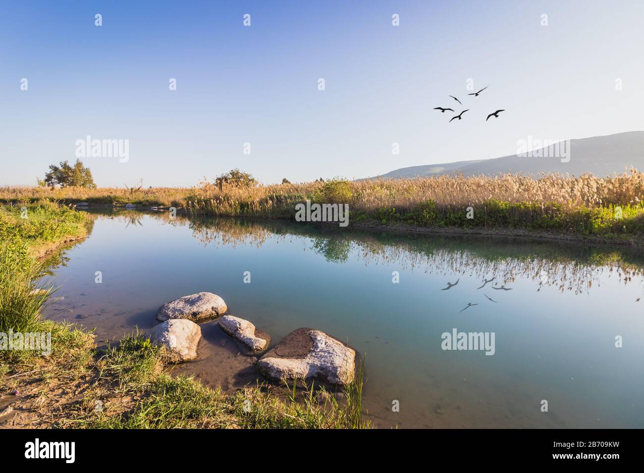 A natural and spectacular stream, wide-angle with reflection of aquatic plants, (nahal hakibutsim) at Emek HaMa'ayanot Regional Council, a stream at a Stock Photo