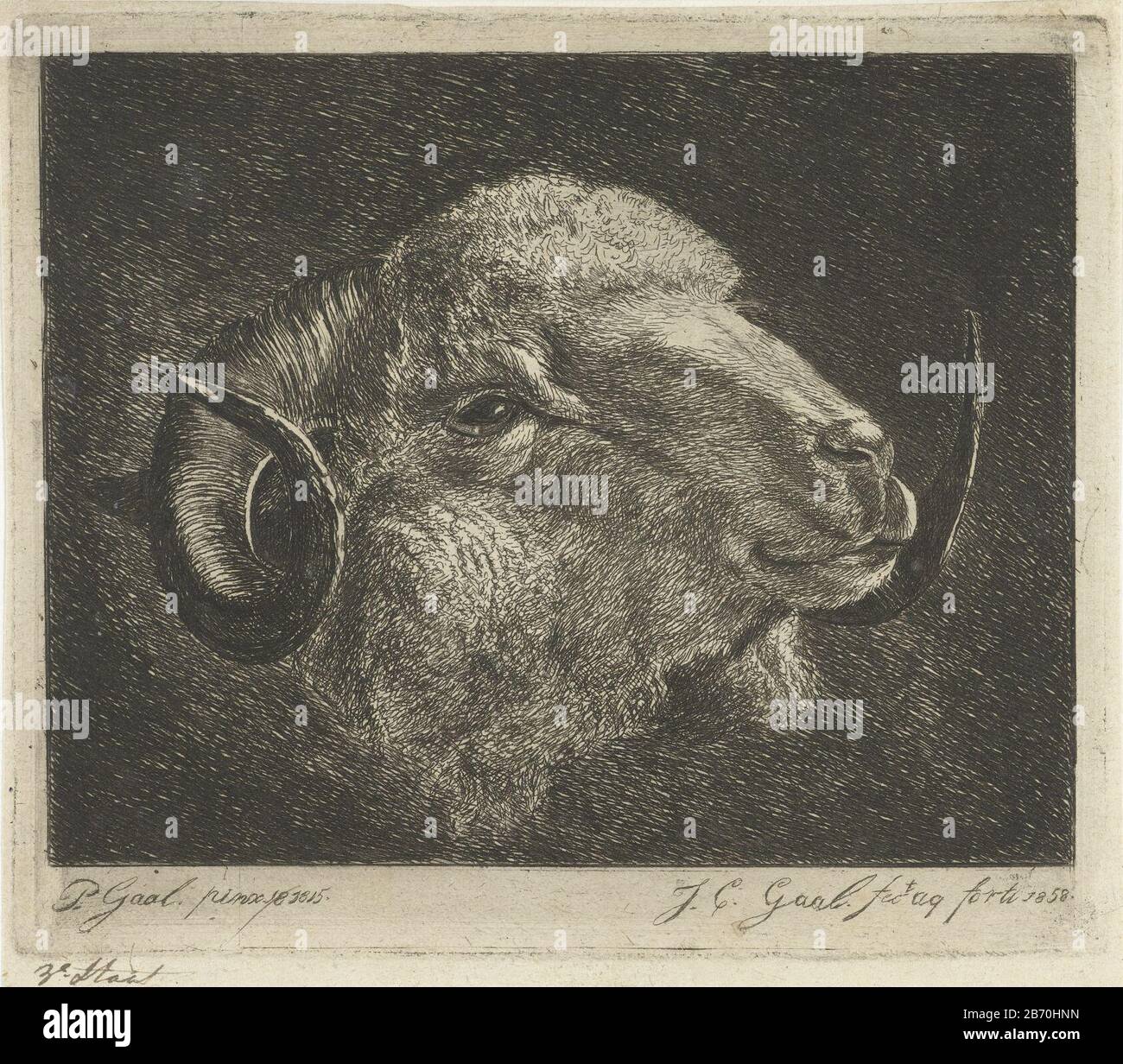 By Way of Cape Horn | Project Gutenberg, image size:1300x1232