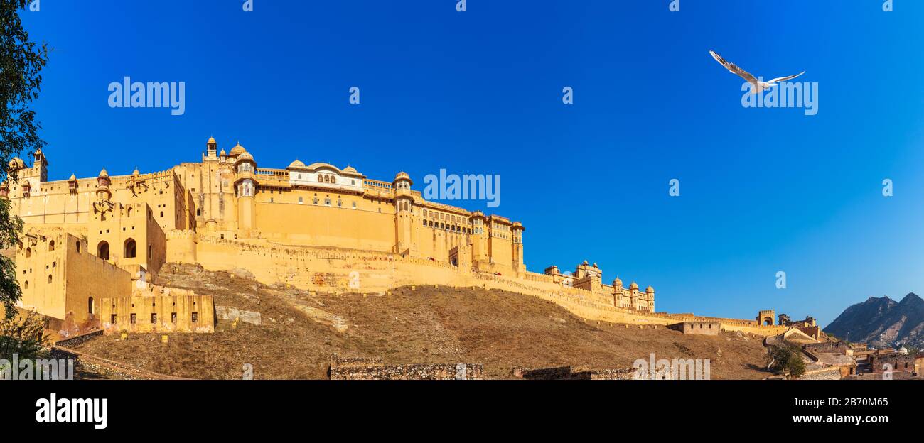 Amber Fort panorama, Amer, Jaipur, Rajasthan, India Stock Photo - Alamy
