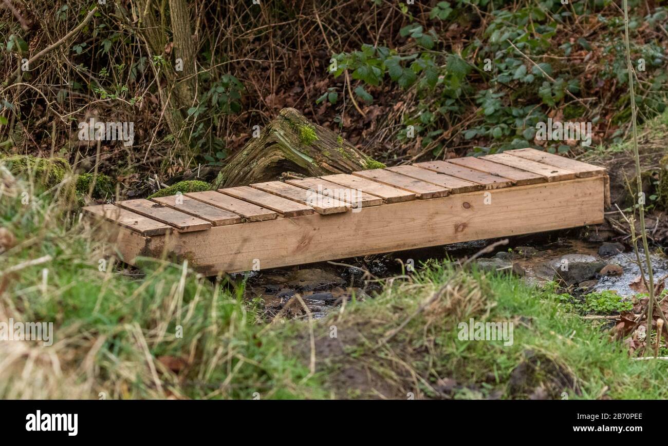 A small wooden bridge over a boggy area of a footpath. Stock Photo