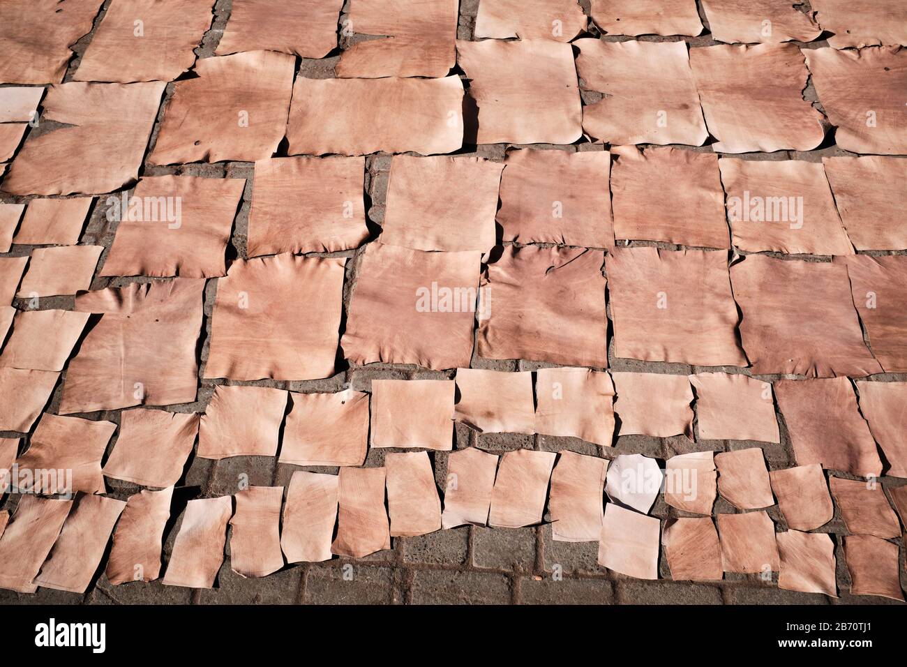 Leather sun drying on the streets of Marrakesh, Morocco. Stock Photo