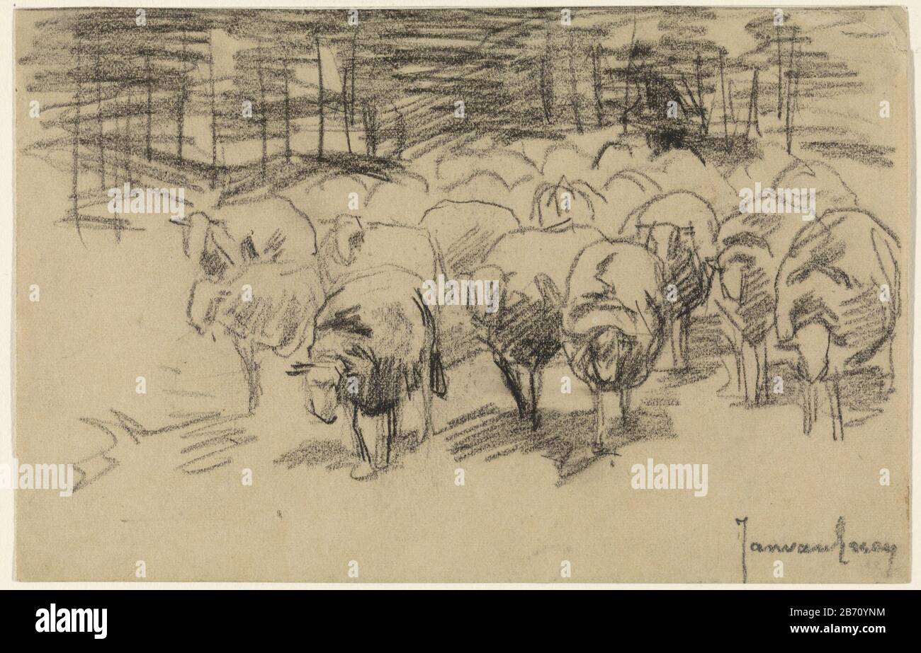 Kudde schapen Flock of sheep object type: Drawing Object number: RP-T  00-2187 Manufacturer : artist Jan van Essen Date: 1864 - 1936 Physical  features: black chalk material: paper chalk Dimensions: H 129