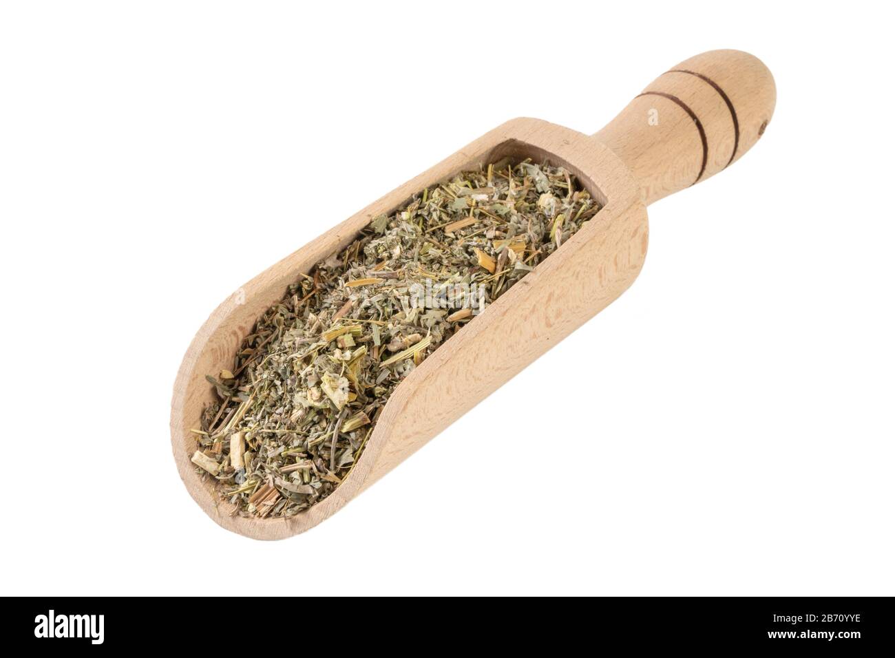wormwood herb or in latin Absinthii herba herb in wooden scoop isolated