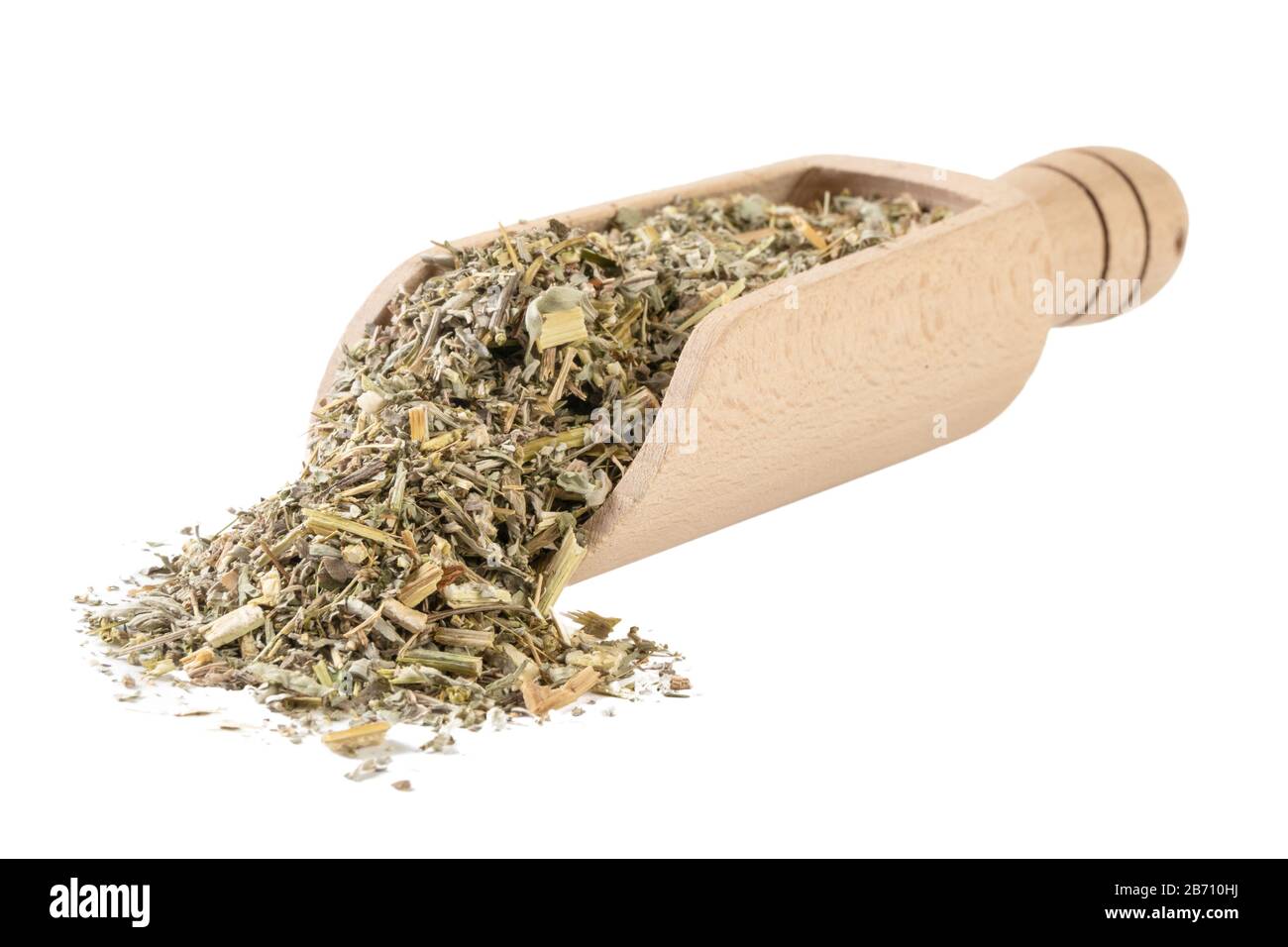 wormwood herb or in latin Absinthii herba herb in wooden scoop isolated