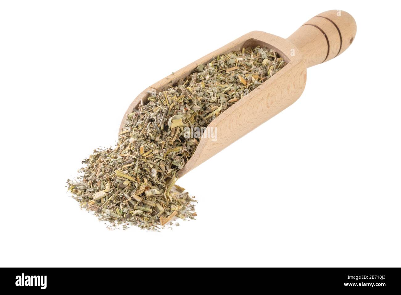 wormwood herb or in latin Absinthii herba herb in wooden scoop isolated