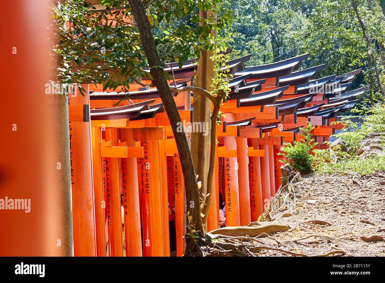 Torii gates in Kyoto Stock Photo - Alamy
