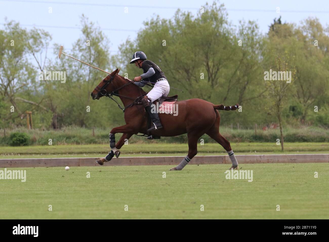 Horse gallops towards ball as polo player attempts to shoot Stock Photo