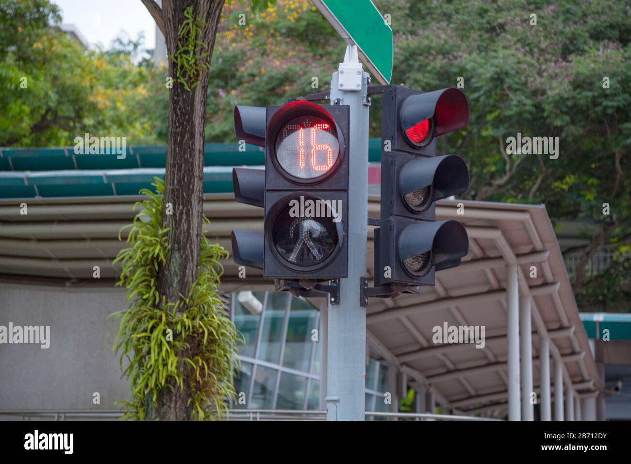 Pedestrian crossing traffic signal with timer and traffic lights at the intersection allow pedestrians and road traffic to use the crossing alternatel Stock Photo