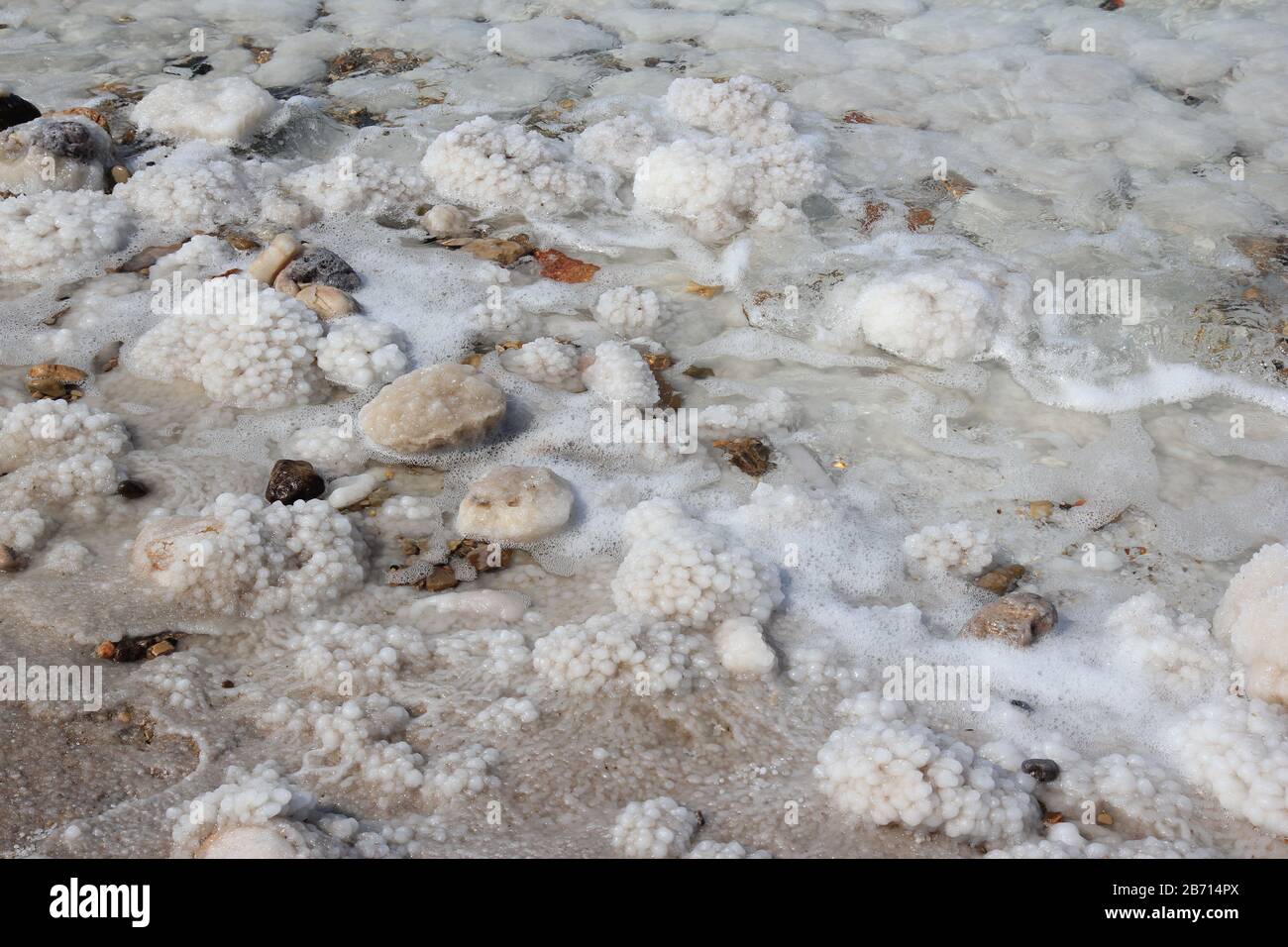 Clusters of salt in the Dead sea, Jordan, Western Asia Stock Photo