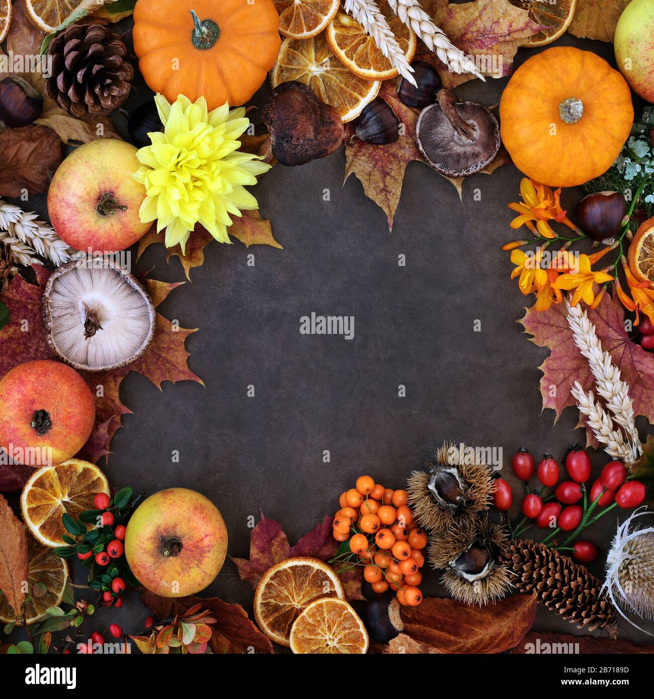 Autumn harvest festival background border with food, flora & fauna on lokta background. Top view, flat lay. Stock Photo