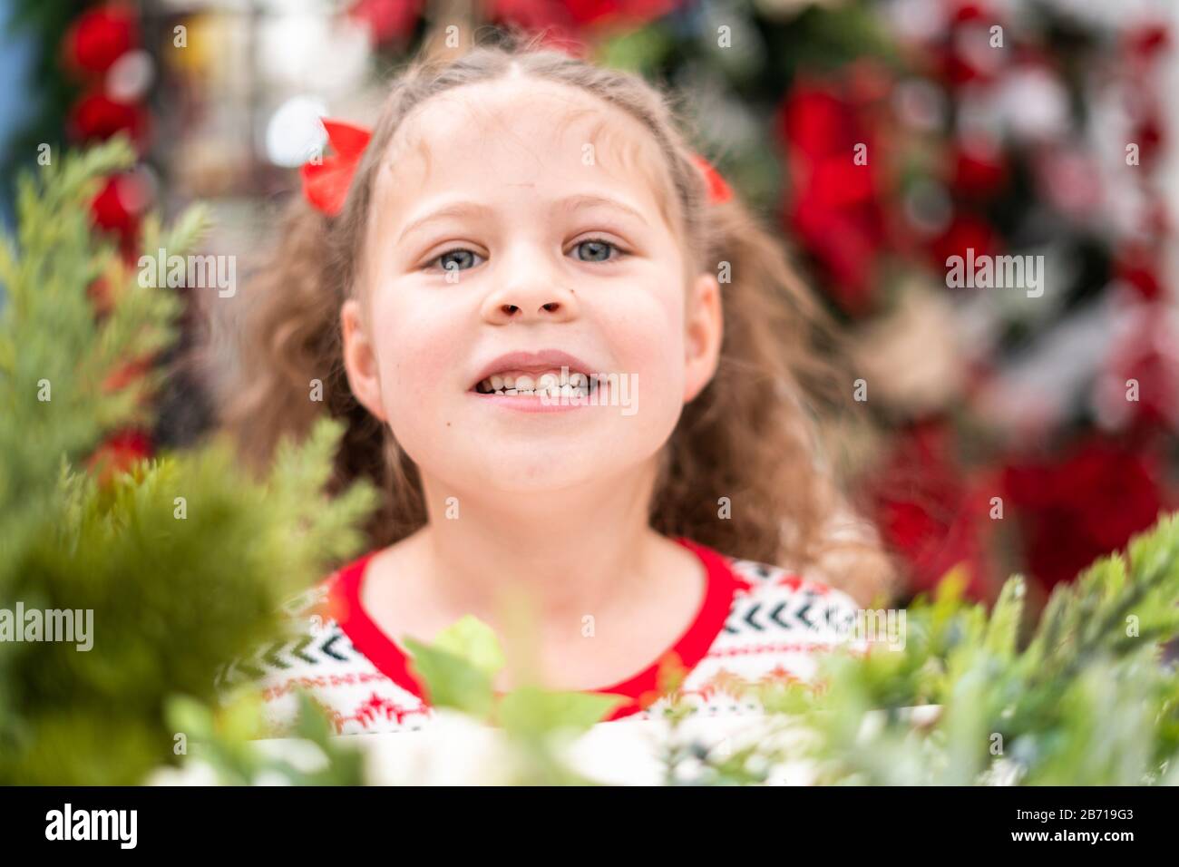 La vernia christmas tree farm