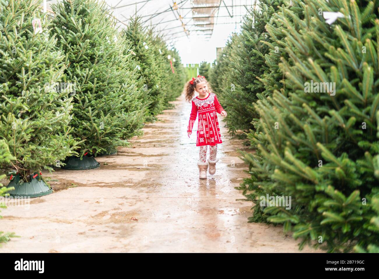 little-girl-in-red-dress-at-the-christmas-tree-farm-stock-photo-alamy