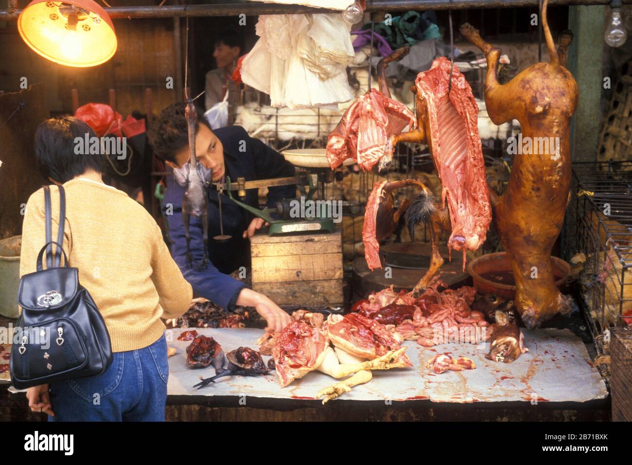 Dog meat at the meat and animal Market in the city of Guangzhou in the province of Guangdong in china in east asia.   China, Guangzhou, April, 2000 Stock Photo