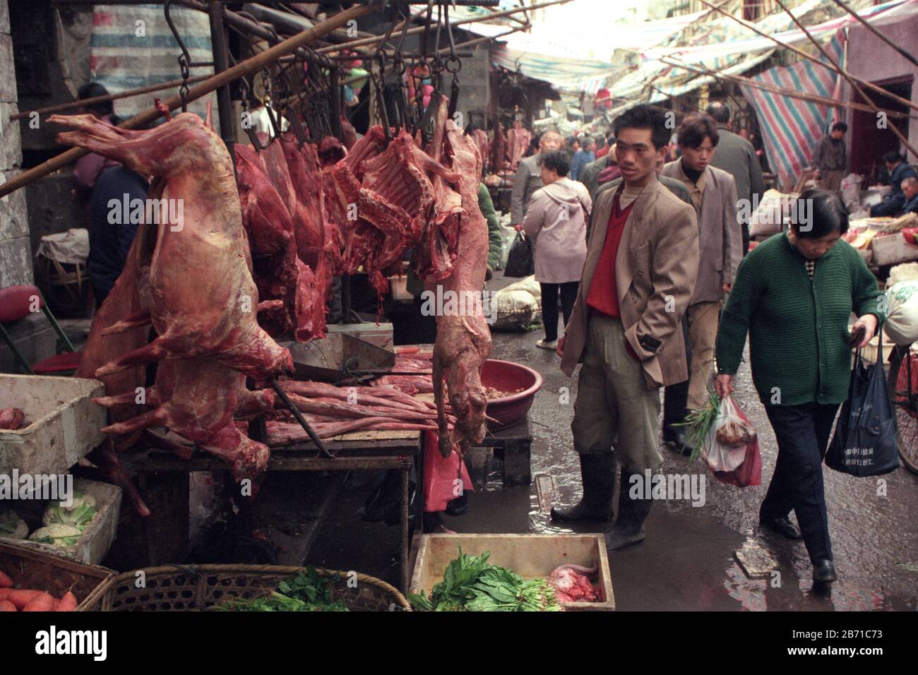 dog meat at the animal and seafood market in the old town in the city of Wuhan in the province of Hubei in china in east asia.   China, Wuhan, April, Stock Photo