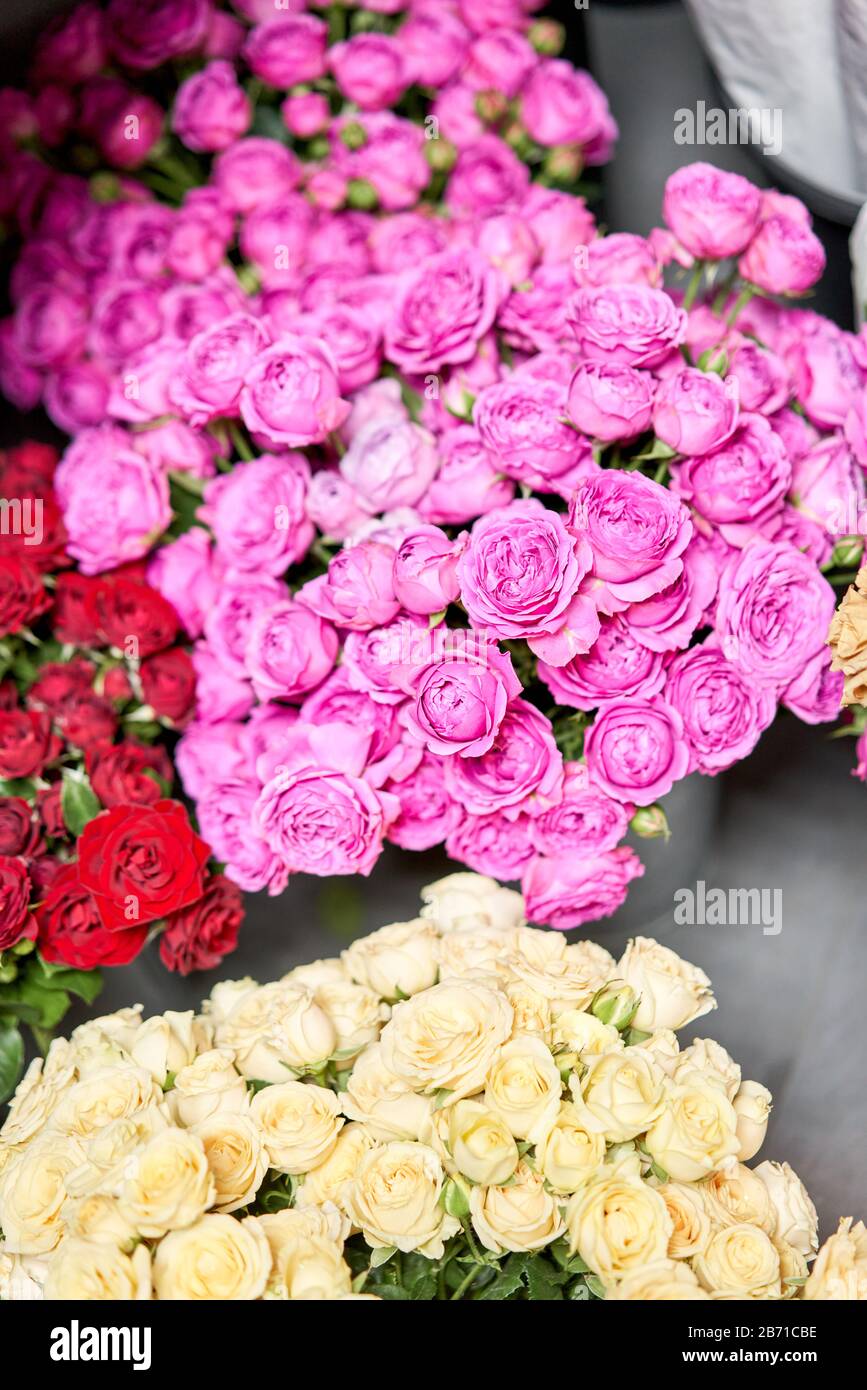 Warehouse refrigerator, Wholesale flowers for flower shops. Roses in a  plastic container or bucket. Online store. Floral shop and delivery concept  Stock Photo - Alamy