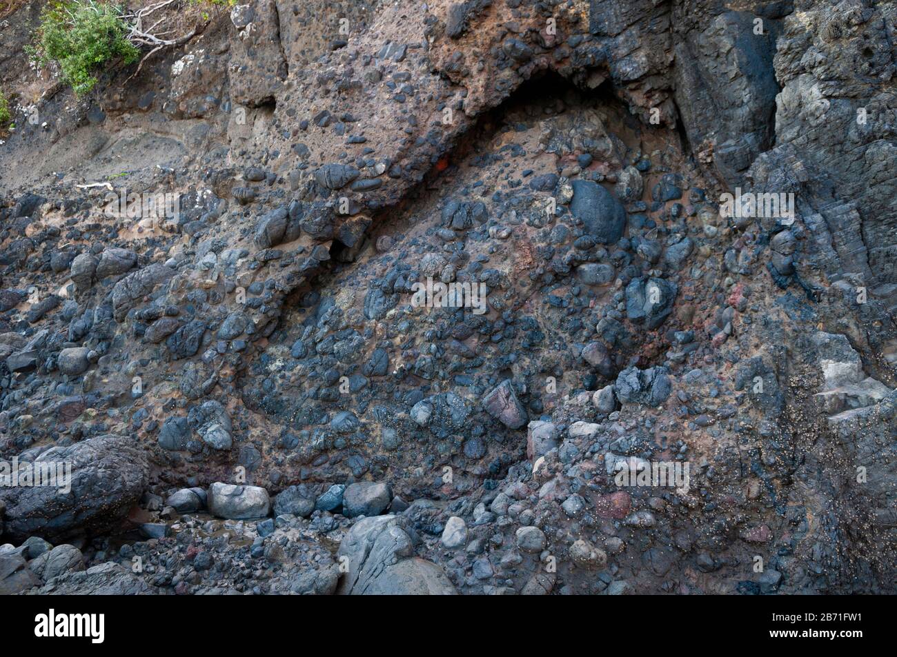 A cliff face with a multitude of agglomerated rocks at Piha beach on New Zealand's north island. Stock Photo