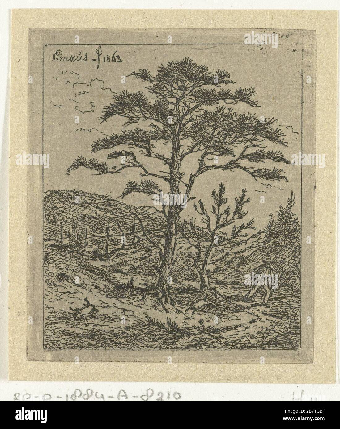 Landschap met jager en den De den In a landscape with two pine trees, runs a hunter behind his dog for a shot konijn. Manufacturer : printmaker: Gerardus Emaus the Micault (listed property) Place manufacture: Netherlands Date: 1863 Physical features: etching material: paper Technique: etching dimensions: plate edge: h 80mm × W 69 mm Subject: hunters hunting (note: In 1988-1990 this notation denoted the concept of 43C11421 'resting hunters during the hunt) Stock Photo