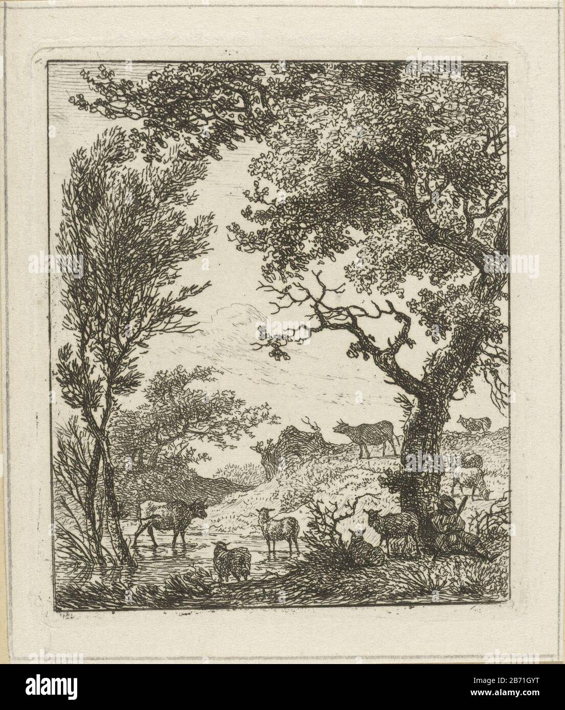 Landschap met kudde vee a herd of cows and sheep in a hilly landscape with trees and shallow water. Manufacturer : printmaker Hermanus FockPlaats manufacture: Amsterdam Date: 1781 - 1822 Physical features: etching material: paper Technique: etching dimensions: plate edge: h 82 mm × b 71 mm Subject: cattle Stock Photo