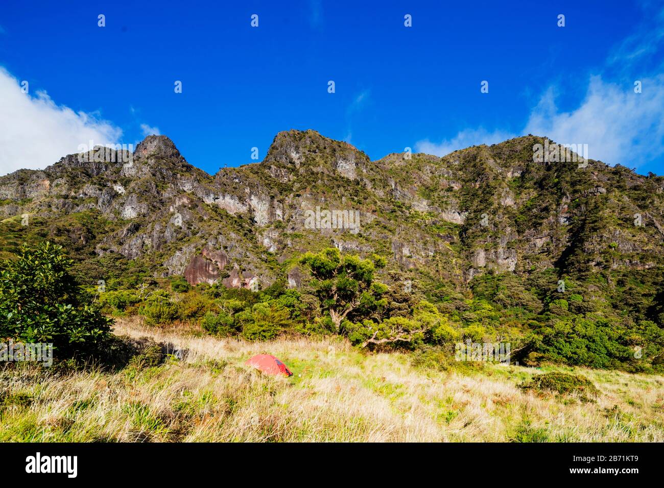 United States of America, Hawaii, Maui island, Haleakala National Park, campsite Stock Photo