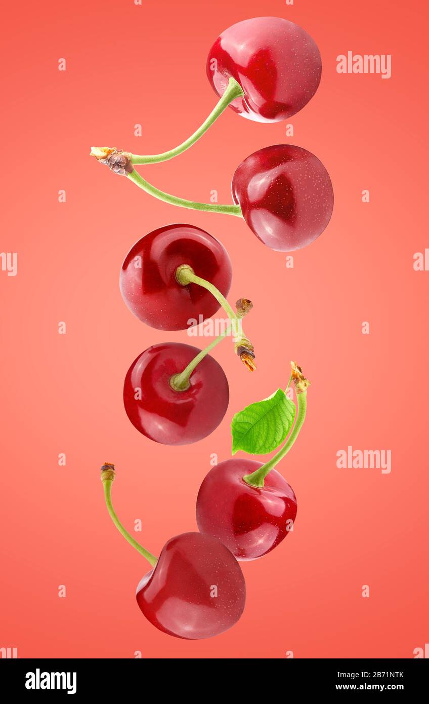Falling fresh cherries isolated on red background Stock Photo