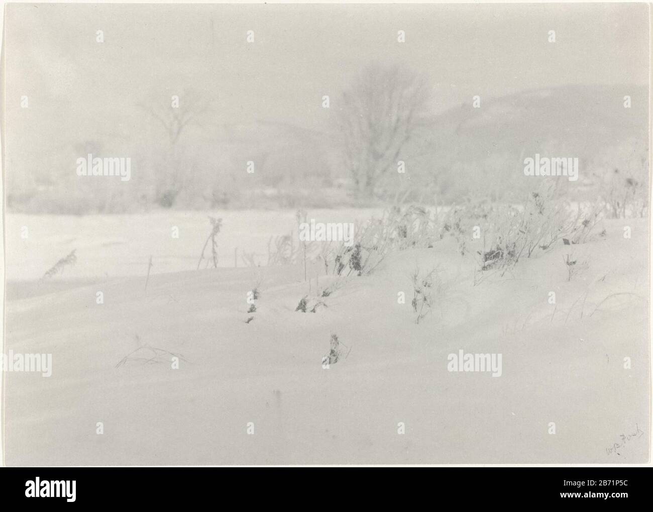 Landschap onder de sneeuw A covered with snow landscape, Where: grasses (in the foreground ) sticking out; in the background trees manufacture manufacturer: Photographer: William Boyd Post (personally signed) Place manufacture: USA Date: 1910 - 1920 Physical features: platinum print on photo paper material: paper Technique: platinum print dimensions: photo: H 157 mm × W 221 mm Subject: winter landscape; landscape symbolizing winter (the four seasons of the year) Stock Photo