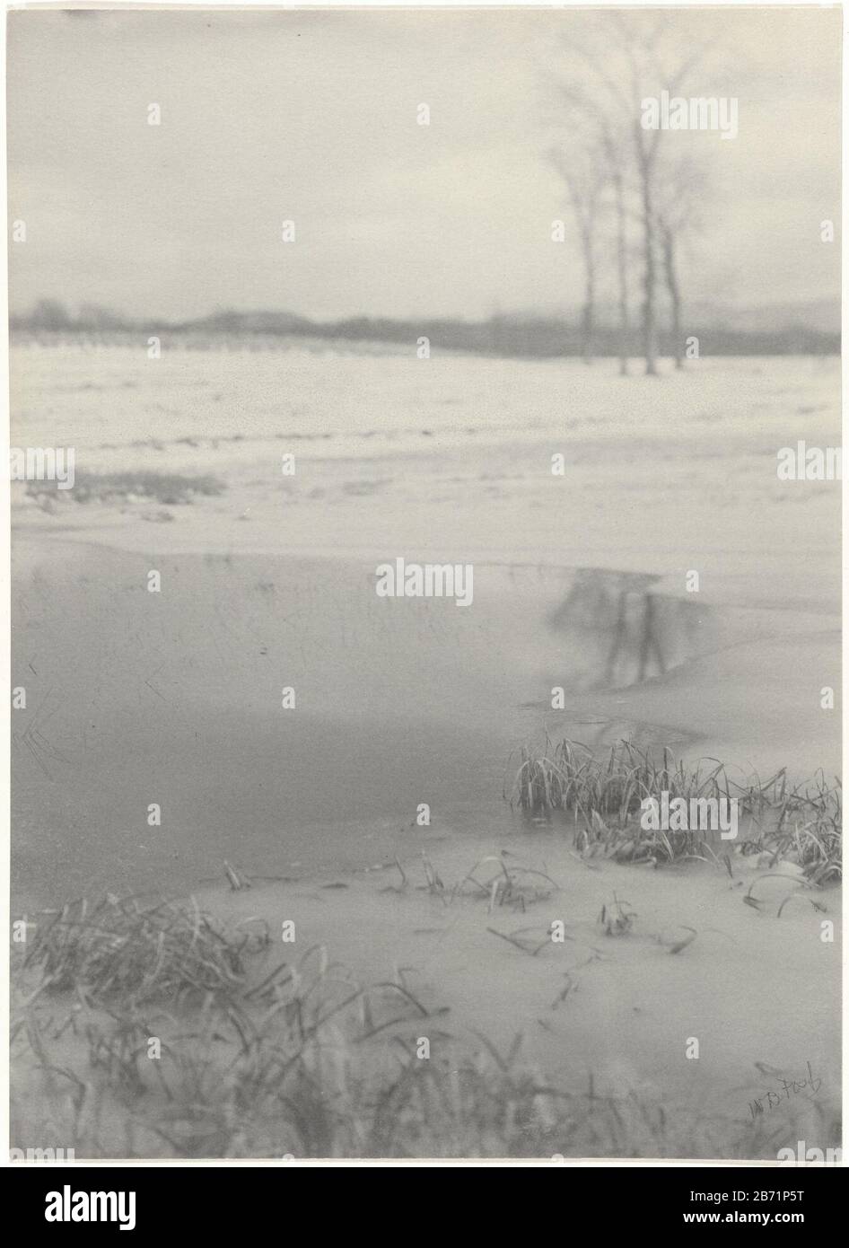 Landschap onder de sneeuw A landscape covered with snow; in the foreground a pond with ice (?); in the foreground grasses, the background trees manufacture manufacturer: Photographer: William Boyd Post (listed on object) Place manufacture: USA Date: ca. 1910 - ca. 1920 Physical features: platinum print on photo paper material: paper Technique: platinum print dimensions: photo: h 241 mm × W 174 mm Stock Photo