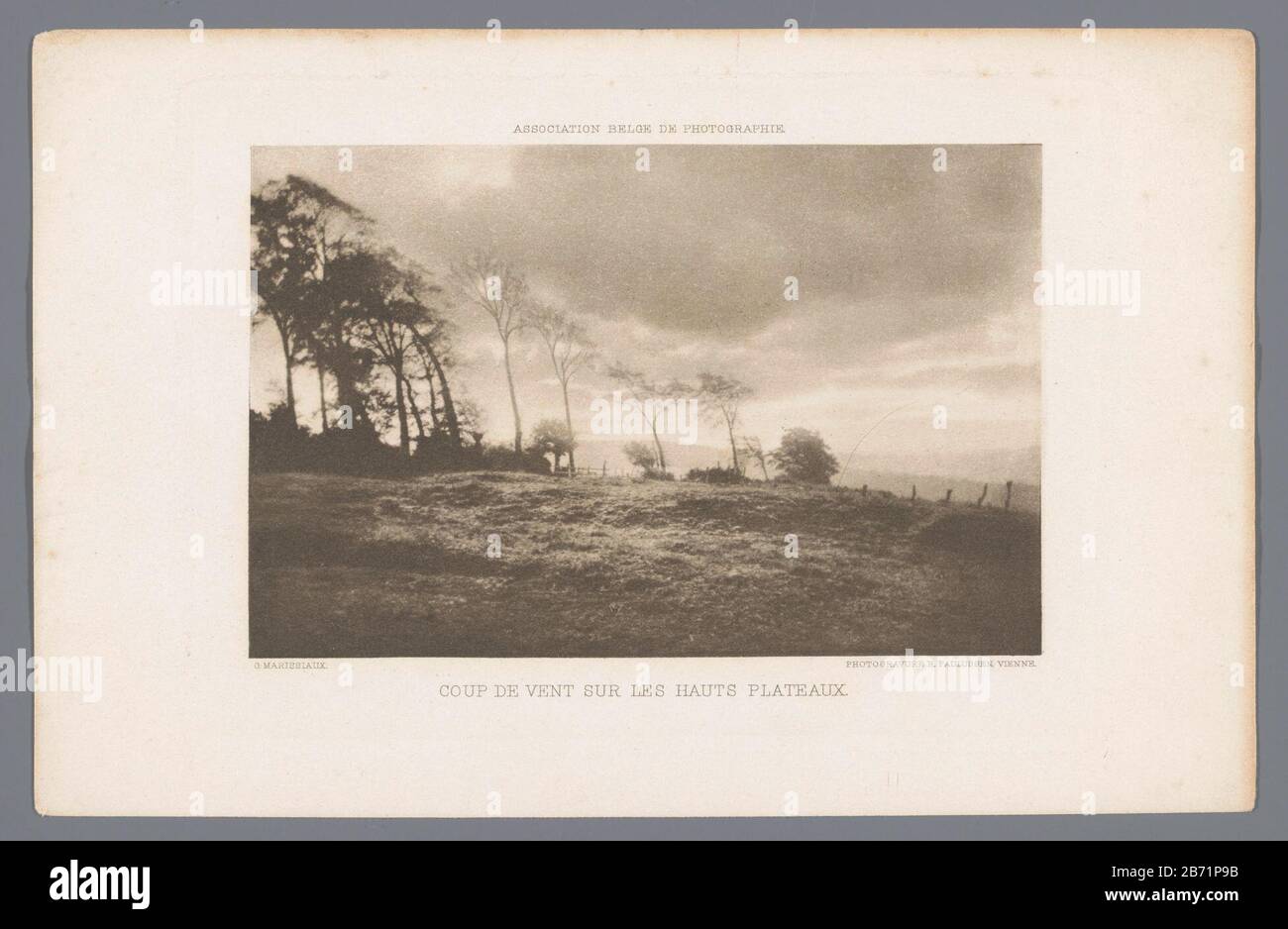 Landschap windstoot op een vlakte Coup de vent sur les hauts plateaux (titel op object) Landscape with sagging trees manufacture manufacturer: photographer Gustave Marissiaux (listed building) printer: Richard Pauls (listed property) Place manufacture: Photographer: Belgium Publisher: Austria Date: 1904 Physical features: photogravure material: paper Technique : heliogravure dimensions: picture: h 104 mm × W 162 mmblad: h 160 mm × W 250 mm Stock Photo