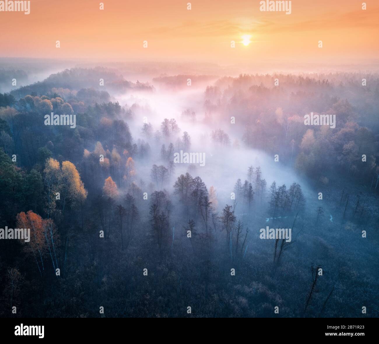 Aerial view of foggy forest and meadows at sunrise in autumn Stock Photo