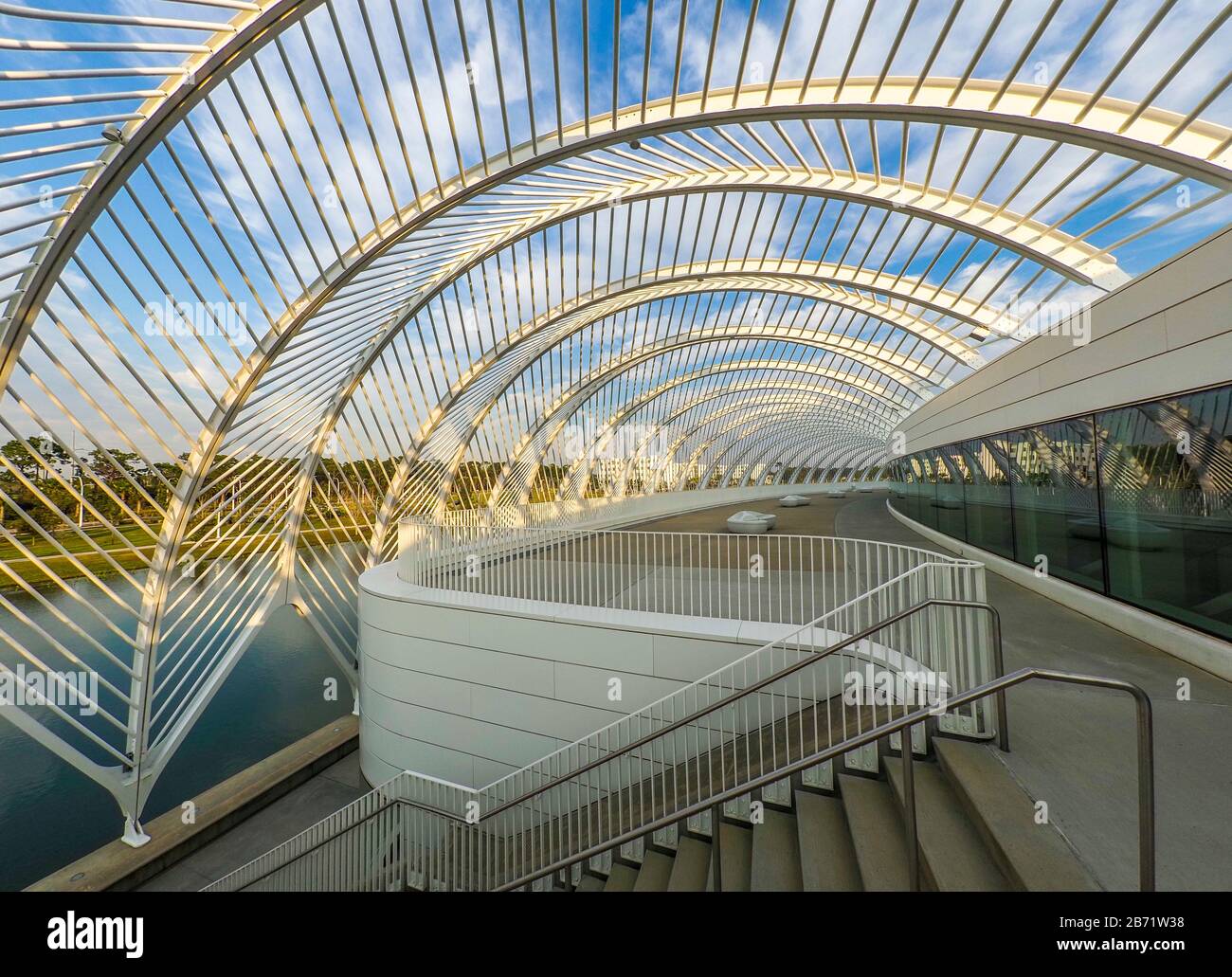 The Innovation, Science and Technology Building, designed by architect Dr. Santiago Calatrava at Florida Polytechnic University in Lakeland Florida Stock Photo