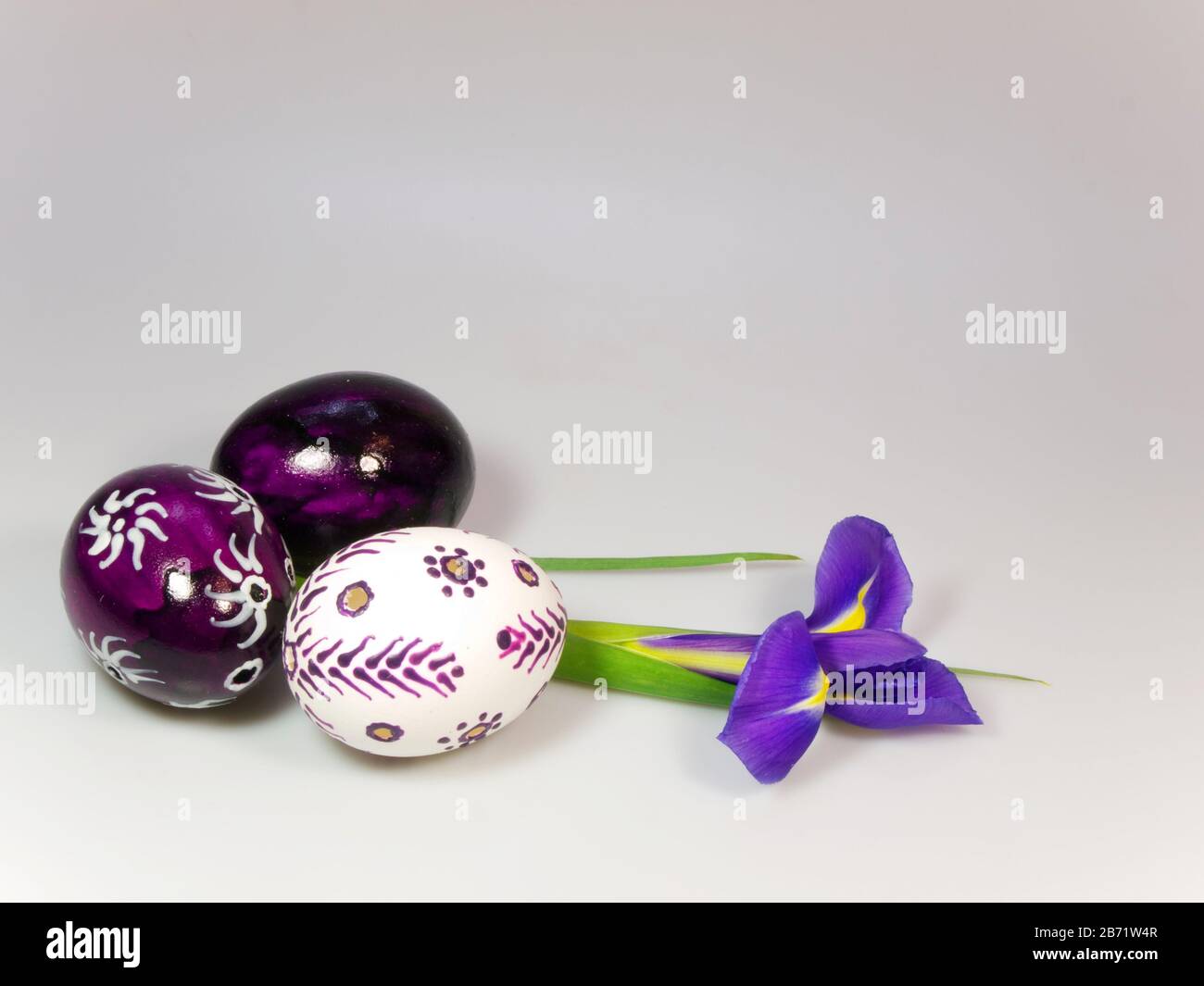 Violet and white easter eggs with iris Stock Photo