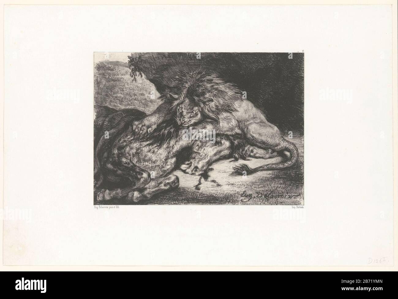 Lion Devouring A Horse Lion Eating The Un Cheval Object Type