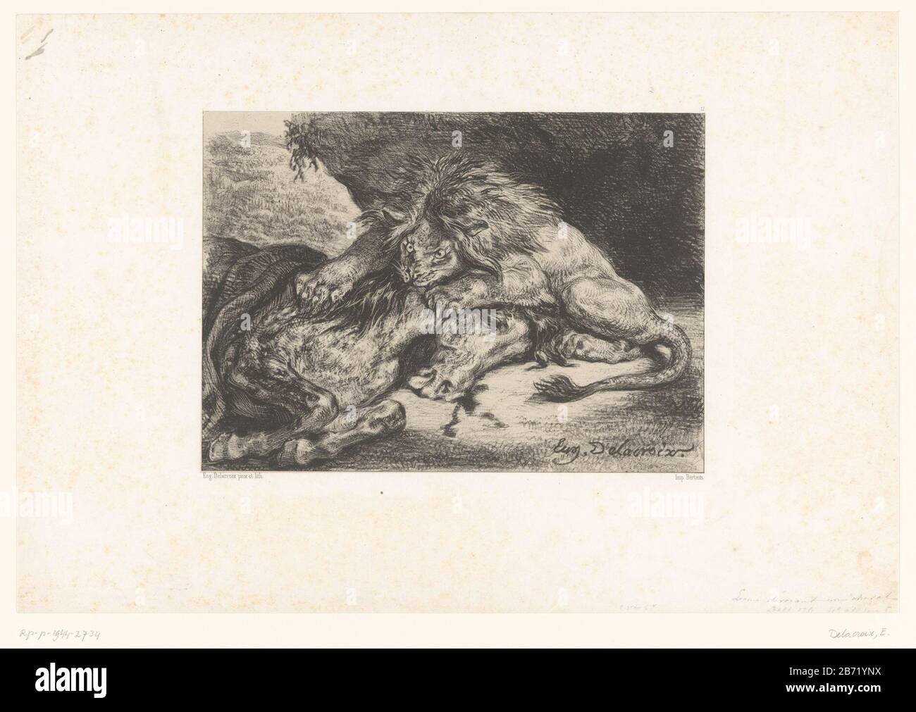 Lion devouring a horse lion Eating the un cheval object type: print Serial number: 17 / Item number: RP-P-1944-2734Catalogusreferentie: IFF après 1800 79Delteil 126-4 (5) Note: Two states present in the RMA. inscriptions / Marks: blind stamp, recto, embossed: Lugt 36b collector's mark , verso, stamped: Lugt 2228a Manufacturer : printmaker Eugène Delacroix (listed property) to painting by Eugène Delacroix (listed building) printer: Victor Jacques Bertauts (listed building) place manufacture: Paris Date: 1844 Material: paper chine collé technique: lithography (technique) Dimensions: sheet: h 282 Stock Photo
