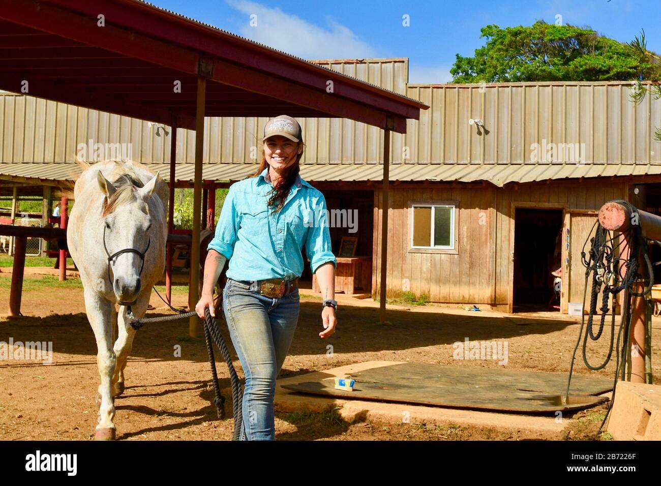 Horses in stable being walked to corral by an attractive, young smiling