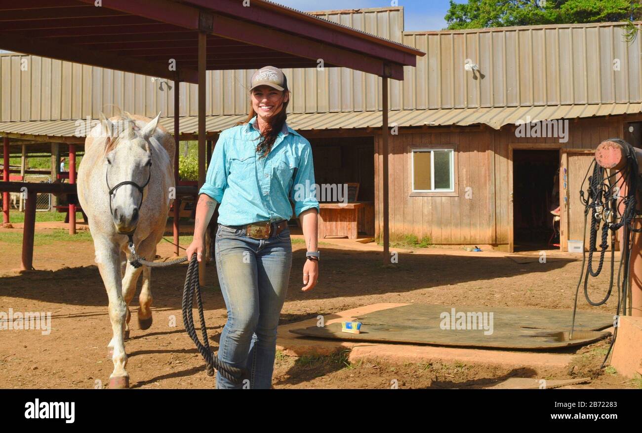 Horses in stable being walked to corral by an attractive, young smiling